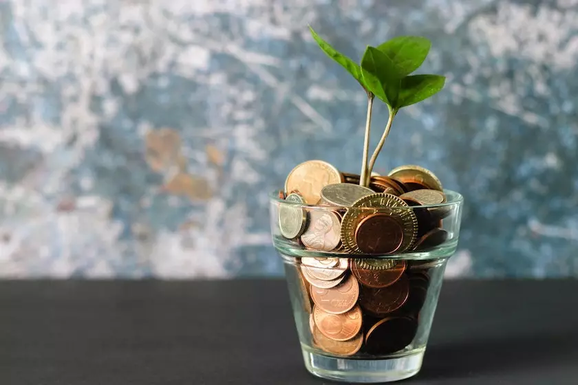 Small glass planter with coins and a sprouting plant