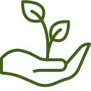 Hand holding a seedling icon