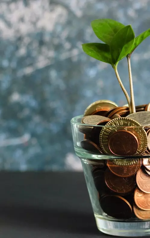 Photo of a small transparent glass planter pot filled with various coins and a newly sprouted plant